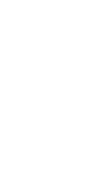 big-logo